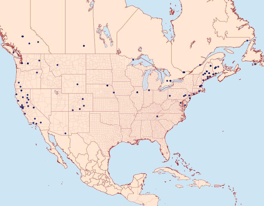 Distribution Data for Dioryctria abietivorella