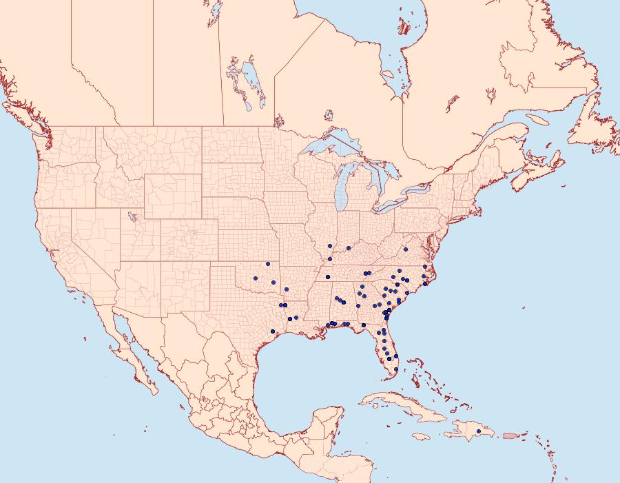 Distribution Data for Dioryctria amatella