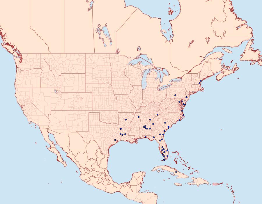 Distribution Data for Dioryctria clarioralis