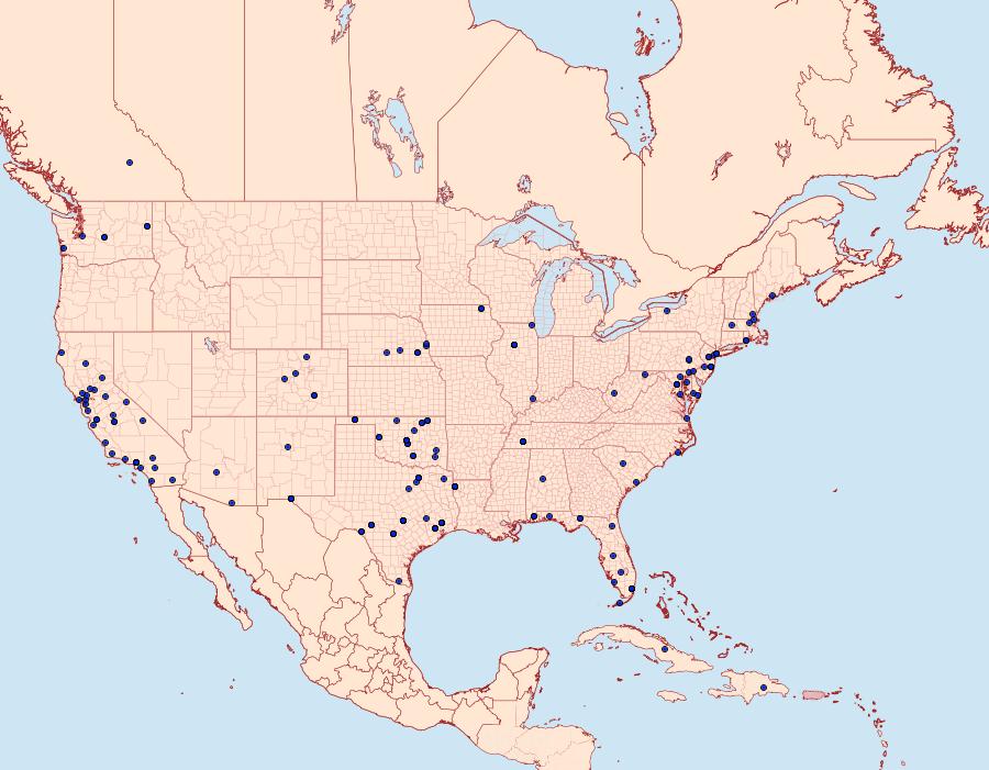 Distribution Data for Homoeosoma electella