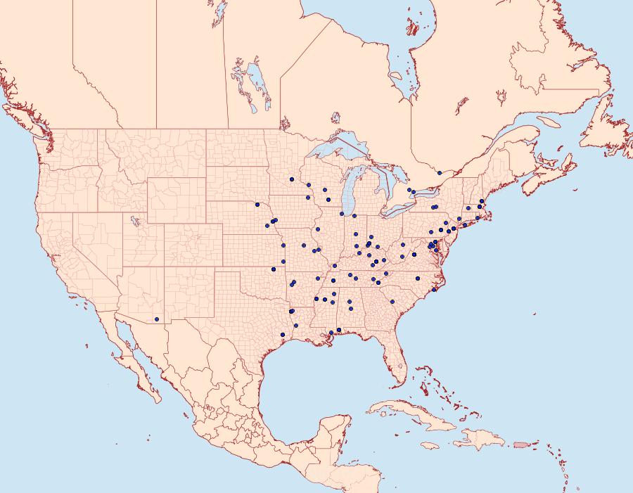 Distribution Data for Caloptilia blandella