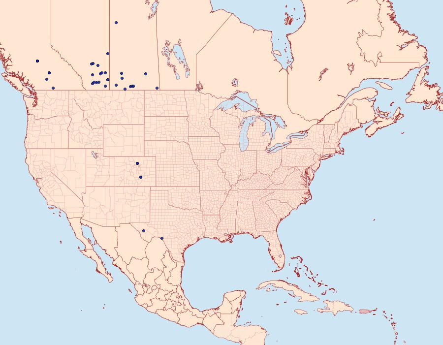 Distribution Data for Melitara dentata