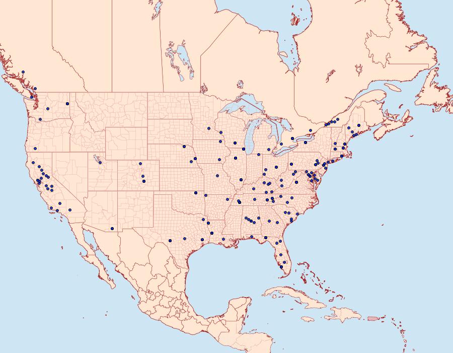 Distribution Data for Euzophera semifuneralis