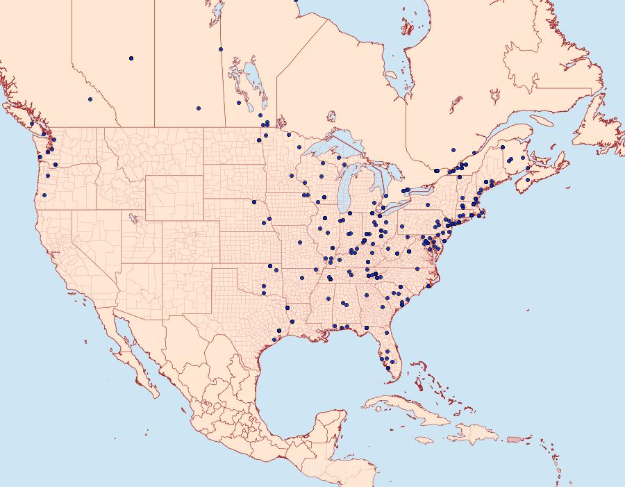 Distribution Data for Eulogia ochrifrontella