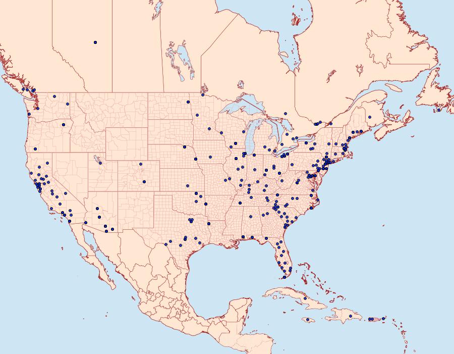 Distribution Data for Plodia interpunctella