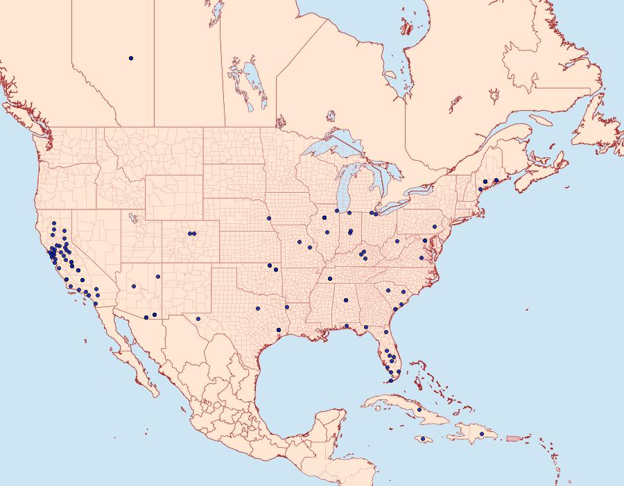 Distribution Data for Ephestia kuehniella