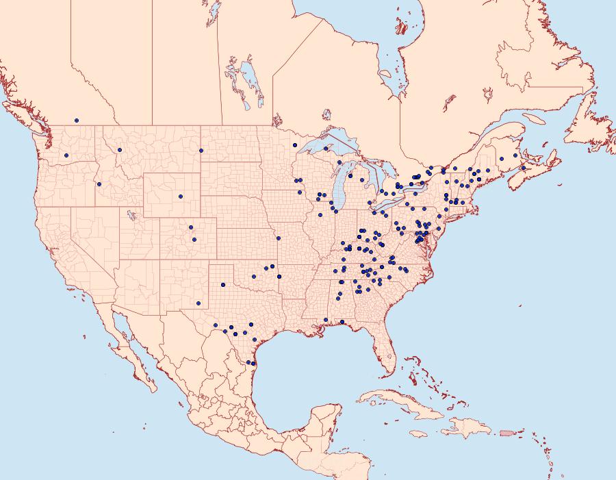 Distribution Data for Thyris maculata