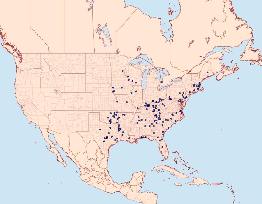 Distribution Data for Pseudothyris sepulchralis