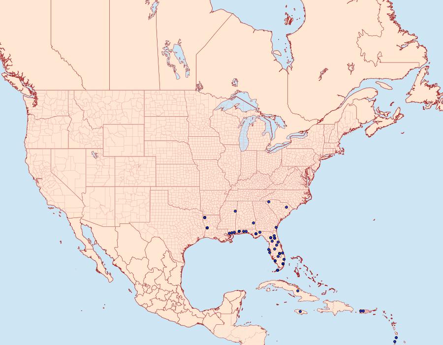 Distribution Data for Exelastis pumilio