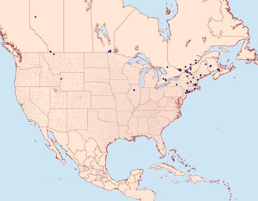 Distribution Data for Dejongia lobidactylus