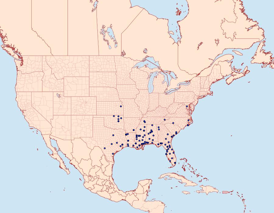 Distribution Data for Pselnophorus belfragei