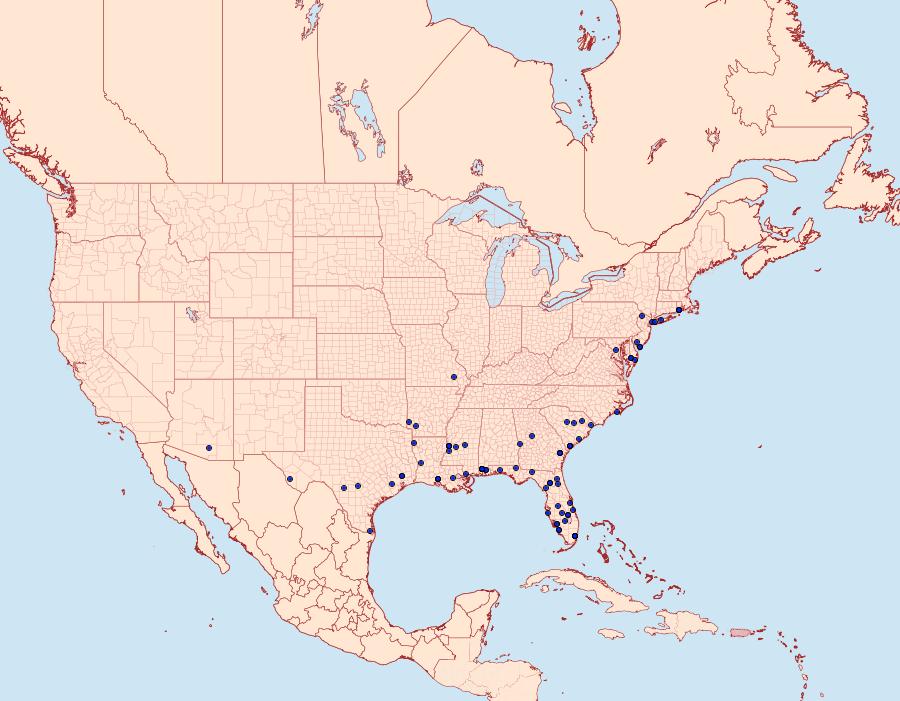 Distribution Data for Hellinsia balanotes