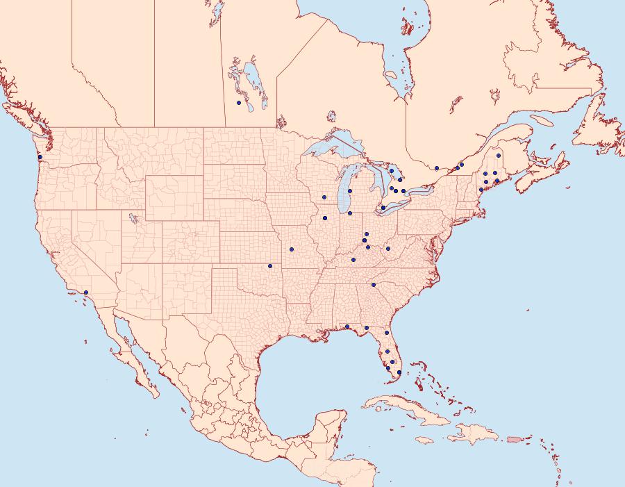 Distribution Data for Hellinsia lacteodactylus