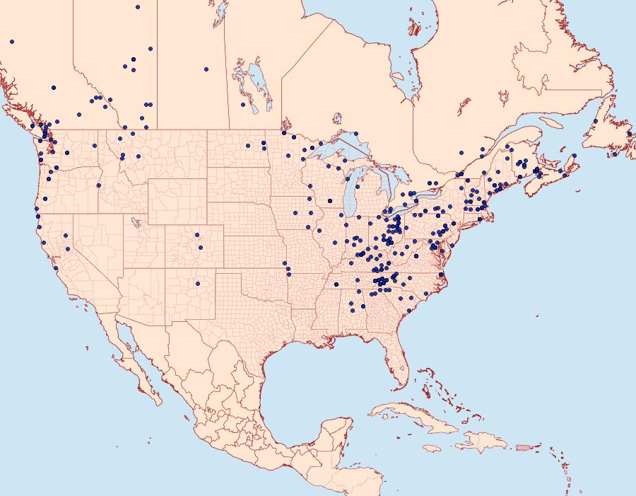 Distribution Data for Pseudothyatira cymatophoroides