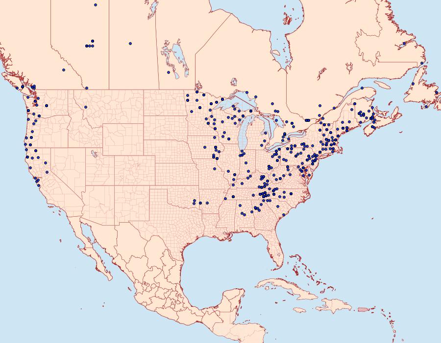 Distribution Data for Drepana arcuata