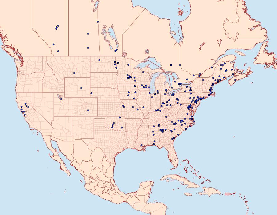 Distribution Data for Alsophila pometaria