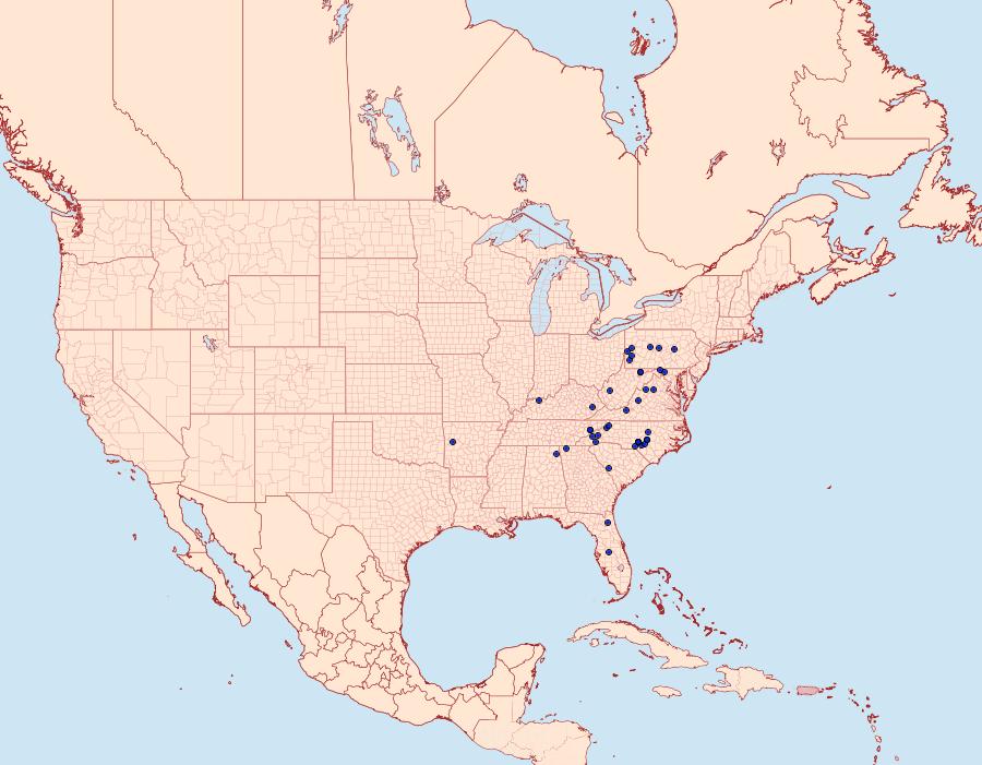 Distribution Data for Heliomata infulata