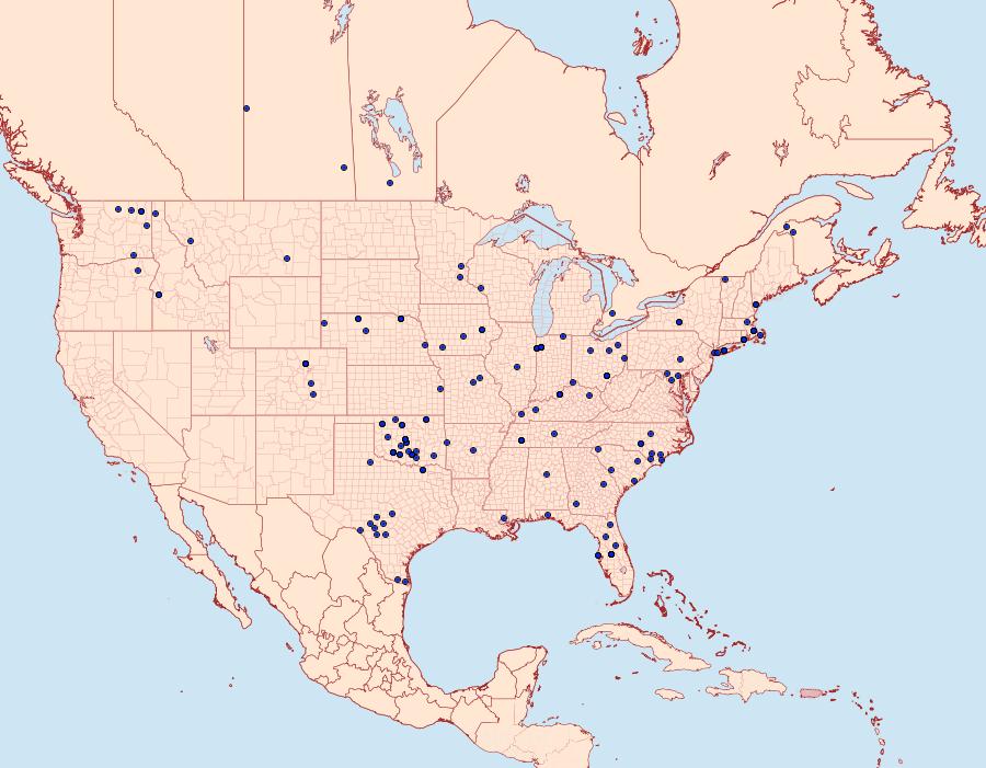 Distribution Data for Eumacaria madopata