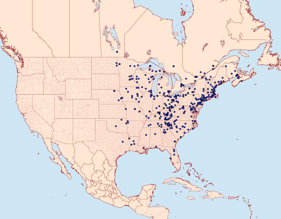 Distribution Data for Macaria pustularia