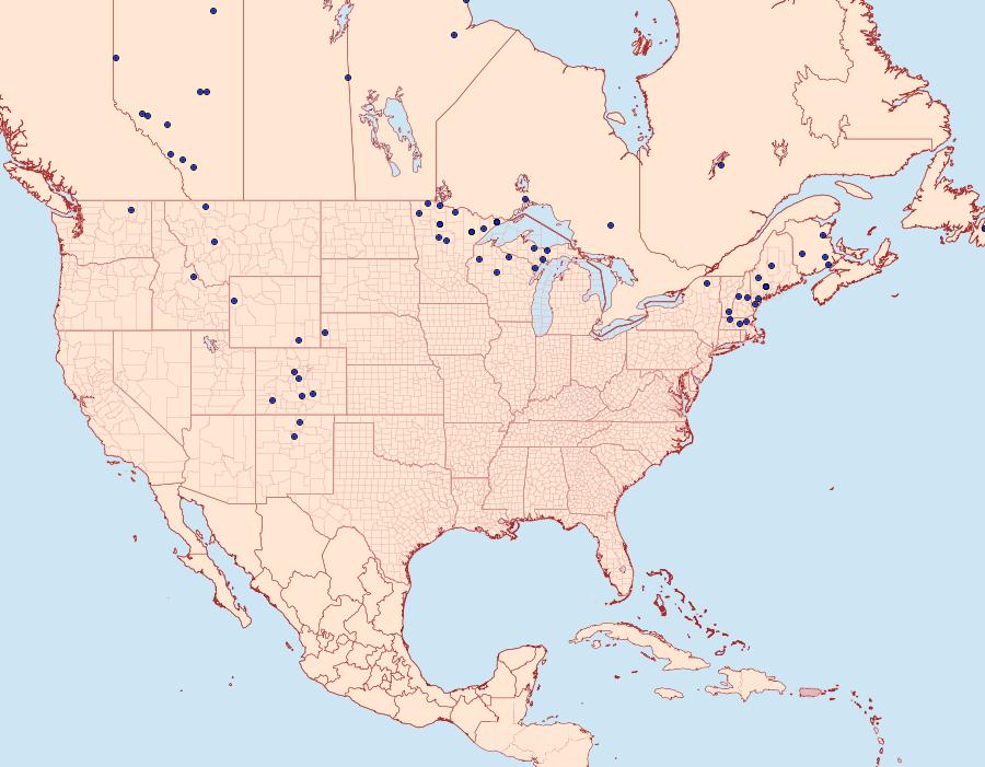 Distribution Data for Macaria brunneata