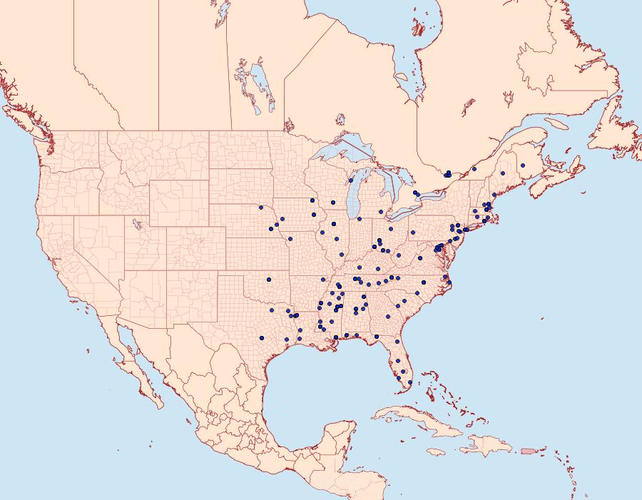 Distribution Data for Caloptilia rhoifoliella