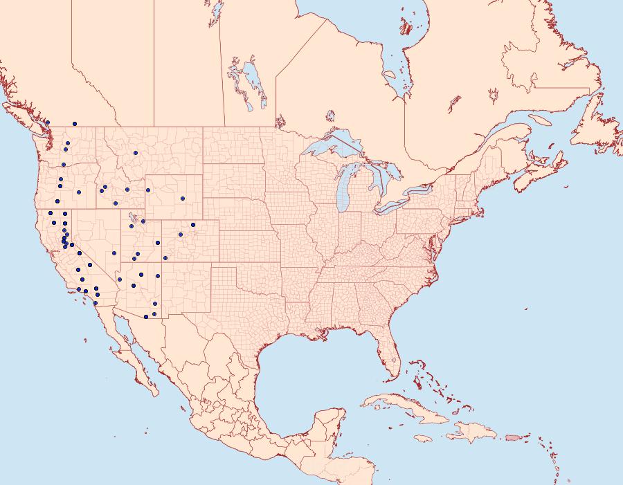 Distribution Data for Macaria colata