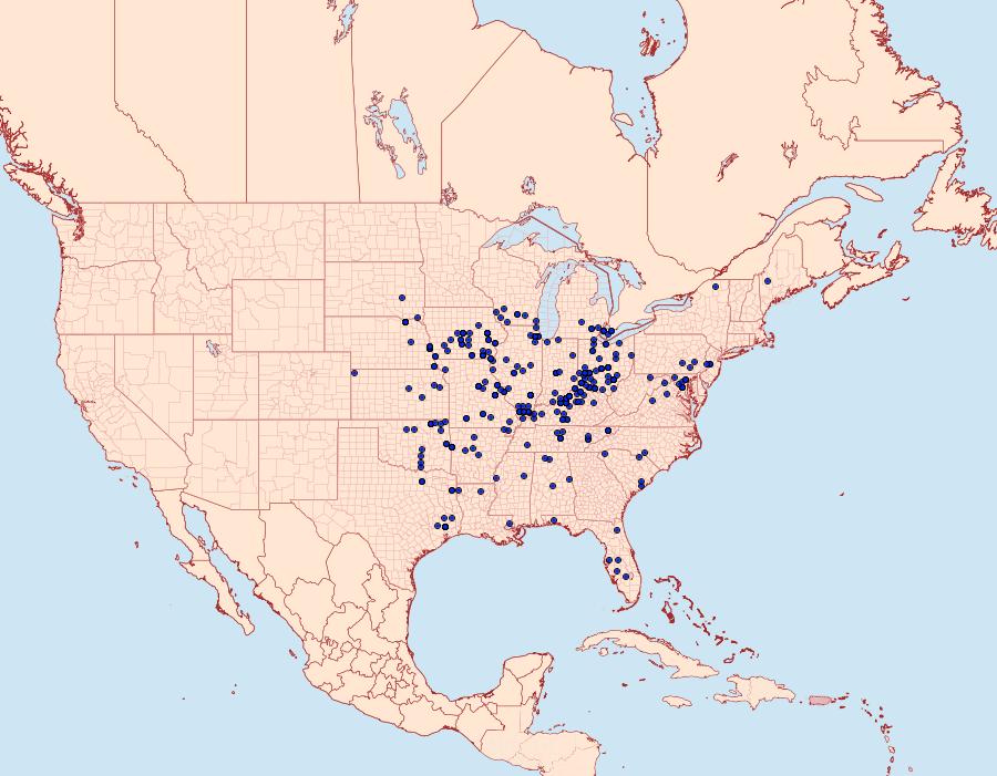 Distribution Data for Mellilla xanthometata