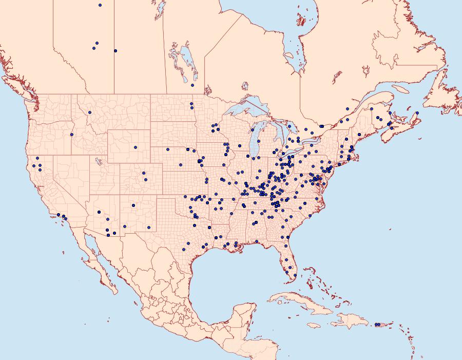 Distribution Data for Macaria aemulataria