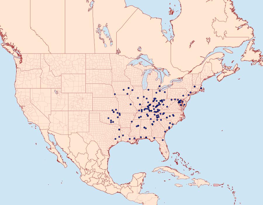 Distribution Data for Macaria promiscuata