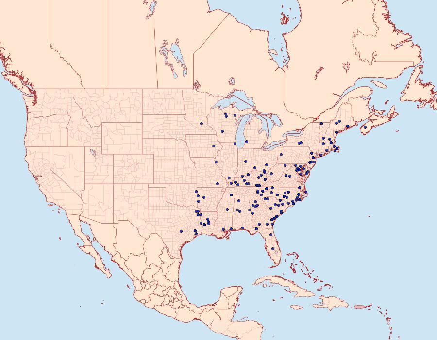 Distribution Data for Macaria transitaria