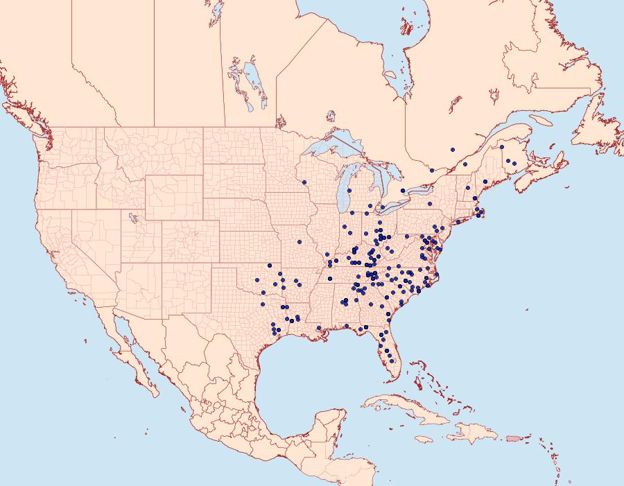 Distribution Data for Macaria bicolorata