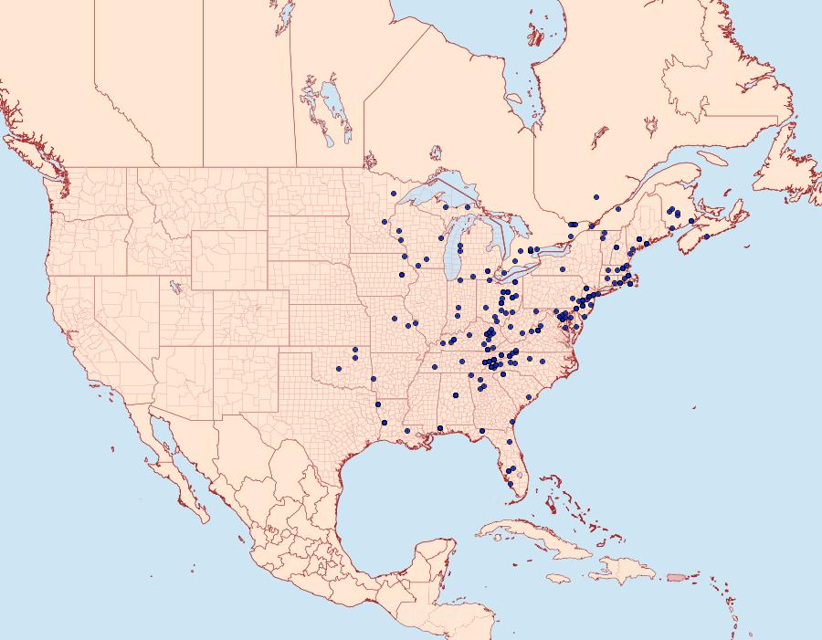 Distribution Data for Macaria bisignata