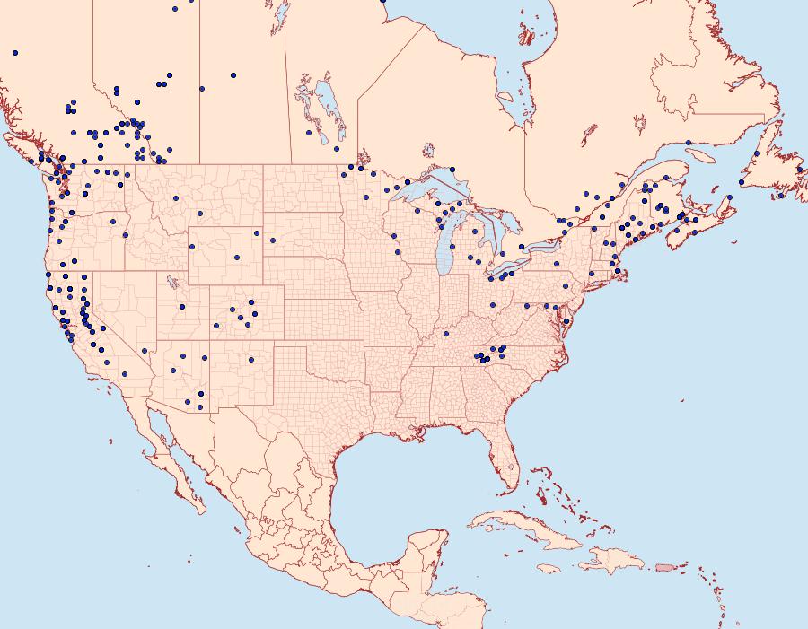 Distribution Data for Macaria signaria