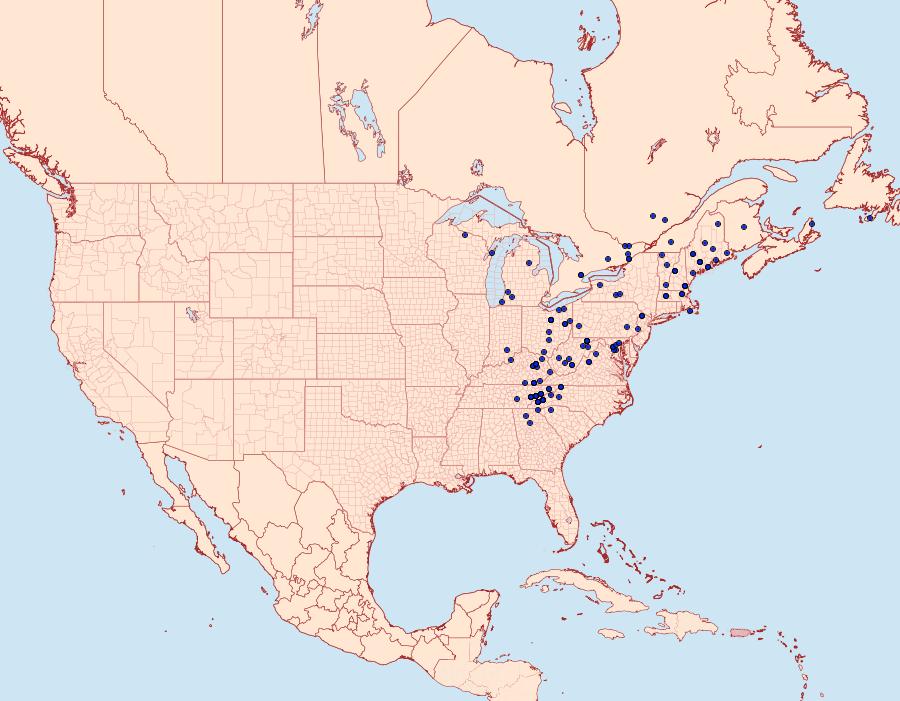 Distribution Data for Macaria fissinotata