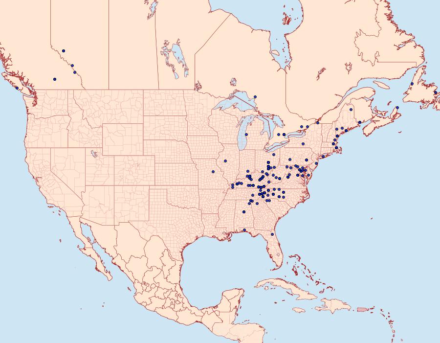 Distribution Data for Macaria granitata