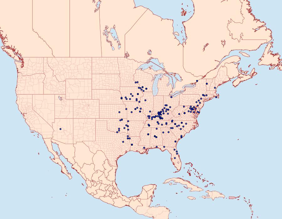 Distribution Data for Macaria multilineata