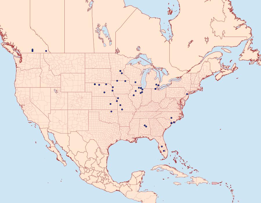 Distribution Data for Digrammia ordinata