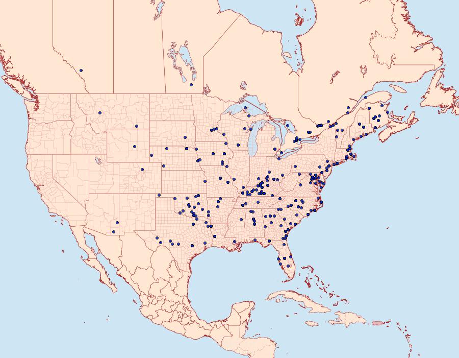 Distribution Data for Digrammia continuata