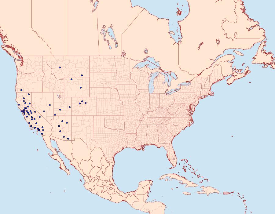 Distribution Data for Digrammia excurvata