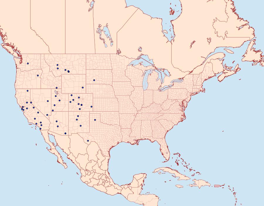 Distribution Data for Digrammia pertinata