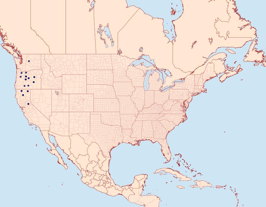 Distribution Data for Digrammia modocata