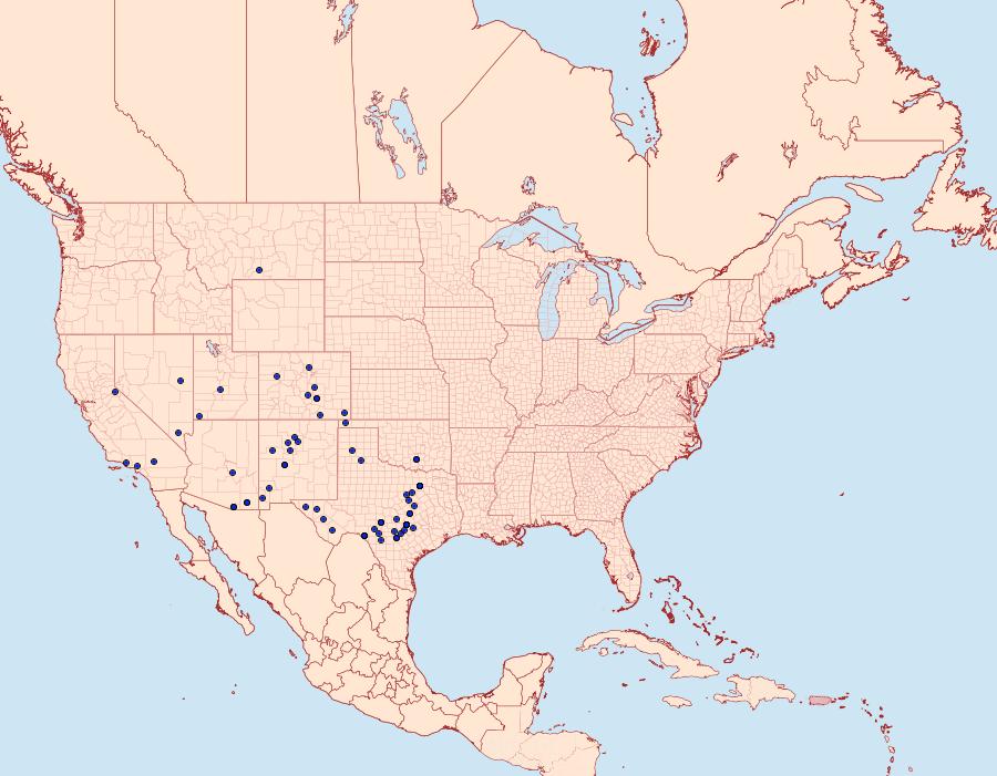 Distribution Data for Digrammia atrofasciata