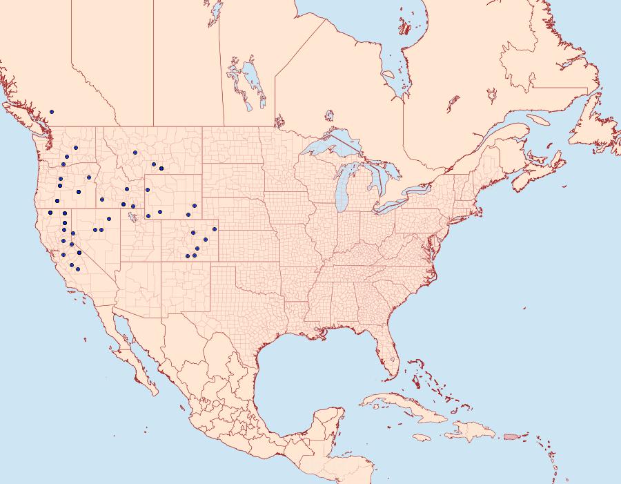 Distribution Data for Digrammia nubiculata