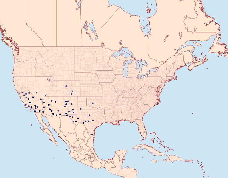 Distribution Data for Digrammia colorata