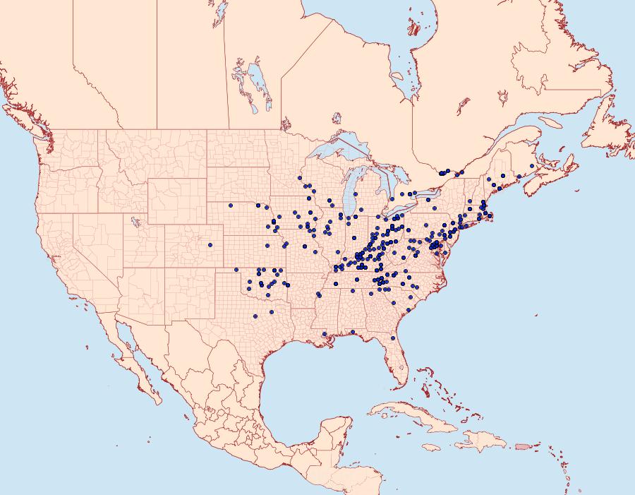 Distribution Data for Digrammia ocellinata