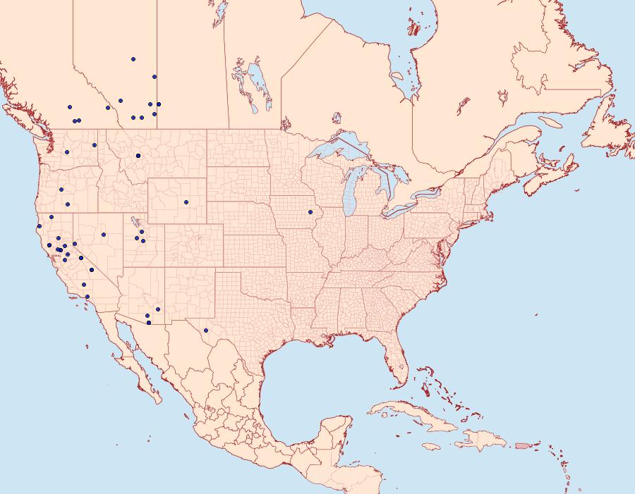 Distribution Data for Digrammia decorata