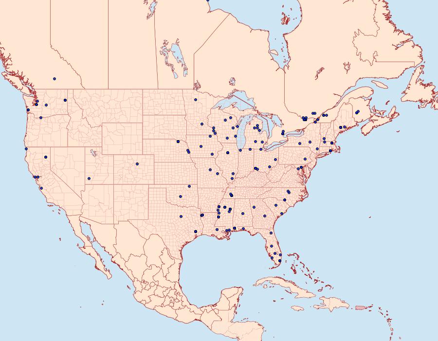 Distribution Data for Caloptilia stigmatella