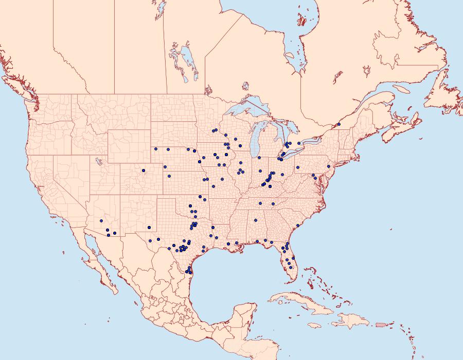 Distribution Data for Isturgia dislocaria