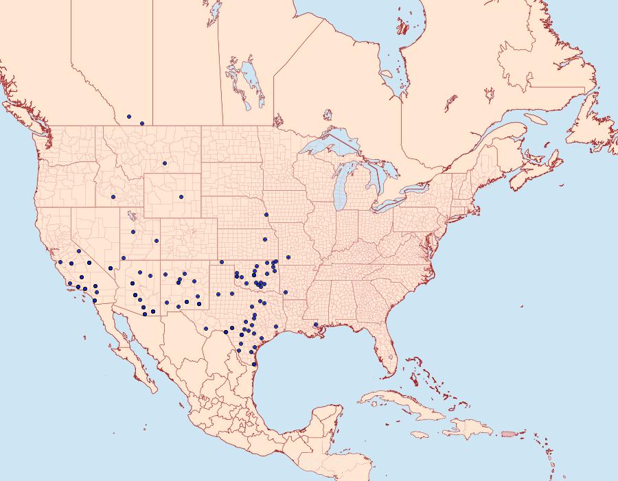 Distribution Data for Narraga fimetaria