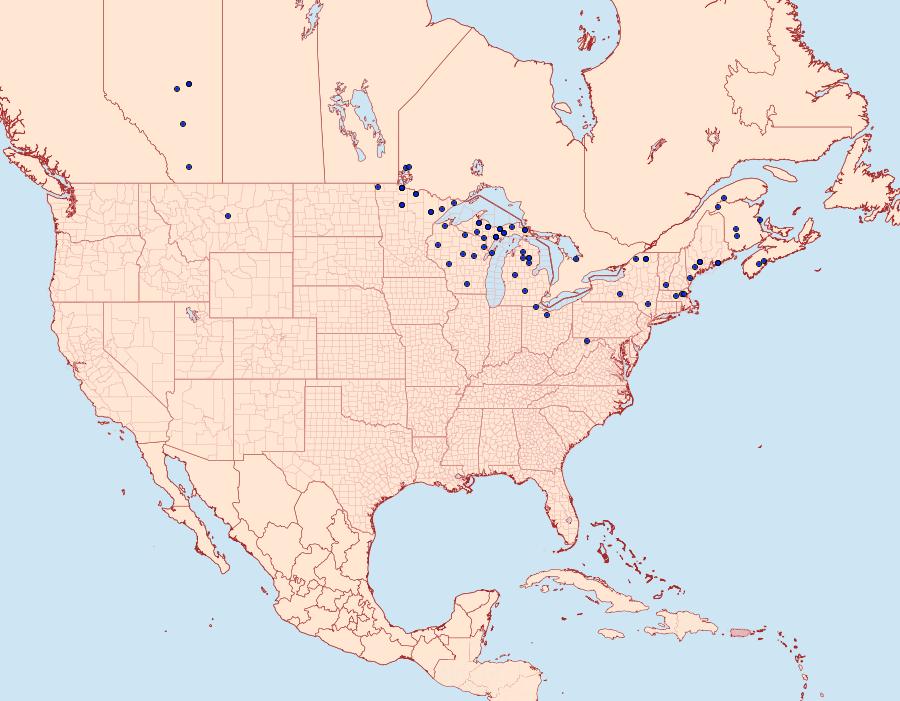 Distribution Data for Ematurga amitaria